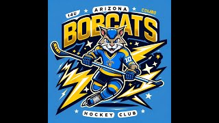 2024 AZ Cactus Cup AZ Bobcats 14U Combo vs Northwest Chargers [upl. by Pendleton]