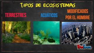 TIPOS DE ECOSISTEMA [upl. by Girvin]