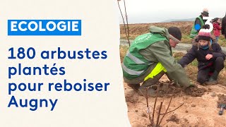 Ecologie  180 arbustes plantés par des écoliers pour reboiser Augny [upl. by Irak]