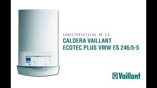 Características de la caldera VAILLANT 246 [upl. by Suravat]