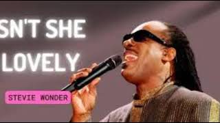 Stevie Wonder🎶quot isnt she lovelyquot cover sologuitar 🎶 [upl. by Anella]