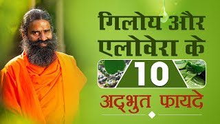 गिलोय Giloy और Aloe Vera एलोवेरा के 10 अद्भुत फायदे  Swami Ramdev [upl. by Tijnar332]