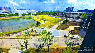 Nantong University lake view from building number 2 NTU [upl. by Eiznikam993]