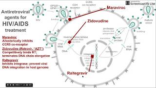 Antiretroviral agents for HIV  AIDS treatment [upl. by Alicirp]