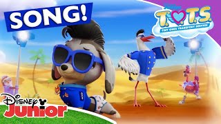 📷 Picture Perfect  TOTS  Disney Junior Africa [upl. by Gnil614]