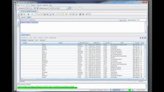 Informatica Data Services  Introduction [upl. by Nnyllatsyrc9]