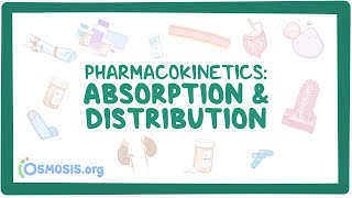 Pharmacokinetics Drug absorption and distribution [upl. by Bound]