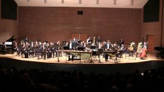 Double Percussion Concerto by Baljinder Sekhon [upl. by Roice]