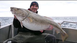 Skrei fishing Norway Kabeljauw vissen Noorwegen Cod fishing Norway [upl. by Harad]