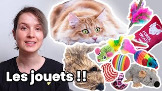 Les meilleurs jouets pour chats et le pire [upl. by Eiahpets]