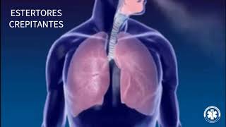 Semiologia  Ausculta Pulmonar ESTERTORES CREPITANTES [upl. by Alanson707]