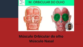 Músculos da mímica facial orbicular do olho e nasal Odonto Dicas RC [upl. by Krauss]