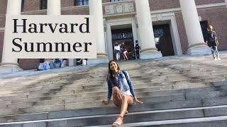 HOW TO GET INTO HARVARD PRECOLLEGE PROGRAM [upl. by Mariko315]