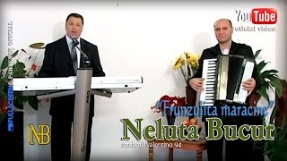 NELUTA BUCUR  Frunzulita maracine live video [upl. by Fanchon306]