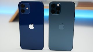 iPhone 12 vs iPhone 12 Pro  Which Should You Choose [upl. by Ybor]