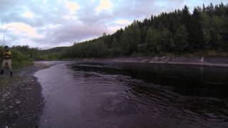 Stjørdalselva storlaks juni 2014  Salmonfishing Norway [upl. by Jessi]