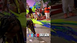 Stx gyals in costumes are dangerous 😮‍💨 St Croix Parade Reaction 2024 🇻🇮😂 [upl. by Eceinej]