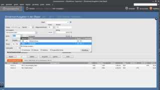 Tutorial EinnahmenAusgaben in den Stapel im Lexware Buchhalter 2012 [upl. by Charis507]