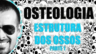 Sistema Esquelético  Estrutura dos ossos longos Parte 12  Anatomia Humana  VídeoAula 006 [upl. by Elizabeth]