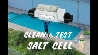 How to Clean salt cell on my swimming pool chlorinator Clearwater Astral [upl. by Burta]