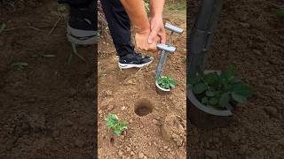 Seedling Transplanter Agricultural Tools youtubeshorts goodtool planespotting goodtools [upl. by Martica759]