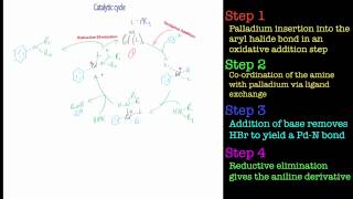 The BuchwaldHartwig Amination Reaction [upl. by Ewen]