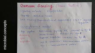 Quorum sensing Gram positive bacteria  QS [upl. by Ssidnac]