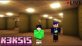 Wir bauen die Backrooms weiter  Minecraft Keksis live [upl. by Ahel]