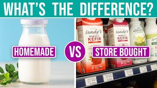 HOMEMADE KEFIR vs STORE BOUGHT KEFIR • Are you being misled [upl. by Levy]