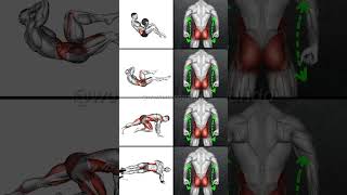 Eliminate Love Handles Best Abs Workouts for a Toned Waist [upl. by Netsyrk]