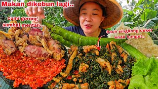 MAKAN DIKEBUN LAGI🥰 CEKER DAUN SINGKONG DIMASAK GINI ENAK JUGA [upl. by Nennerb]