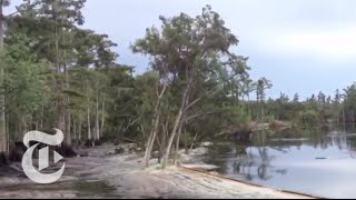 Sinkhole in Louisiana Swallows Trees  Caught on Tape 2013  The New York Times [upl. by Ludvig779]