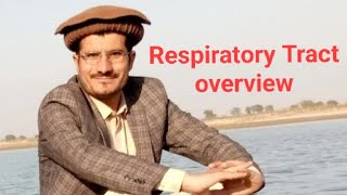 Respiratory Tract Or Pathway Ch Gaseous Exchanve 10th Class Overview in HindiUrdu [upl. by Maitilde]