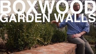 Boxwood Garden Walls  The Garden Home Challenge With P Allen Smith [upl. by Mirielle]