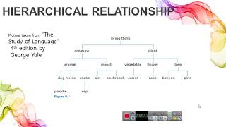 Lecture 6 What is HyponymyWhat is super ordinate and cohyponyms [upl. by Zed]