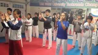 TeamM Taekwondo Koryo Poomsae drills [upl. by Ayikaz]