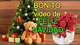 🌲Un BONITO mensaje de NAVIDAD🦋 Feliz Navidad y Prospero año nuevo Familia amigos frases [upl. by Soutor316]