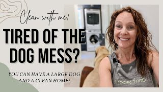 How To Have Large Dogs AND a Clean House  CLEAN WITH ME amp Learn My Top SanitySaving Tips [upl. by Ahcila284]