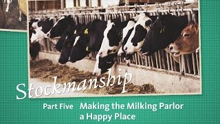 Stockmanship Part 5 Making the Milking Parlor a Happy Place [upl. by Avilys]