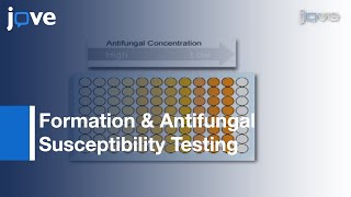 Agar well diffusion assay [upl. by Eisiam629]