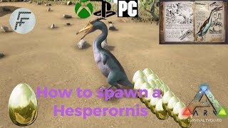 Ark Survival Evolved How to spawn a Hesperornis [upl. by Suraved800]