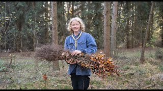 Pfadfinder pflanzen 6000 Bäume auf einer Fläche der Deutschen Wildtier Stiftung [upl. by Opaline660]