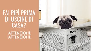 FAI PIPì PRIMA DI USCIRE DI CASA I rischi della pipì preventiva [upl. by Leinaj511]