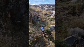 Hardangervidda National [upl. by Nebe]