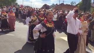 People Watching at Vinkovci festival in Slavonia district of Croatia [upl. by Nisa]