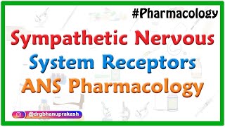 Sympathetic Nervous System Receptors  ANS Pharmacology  DrRajesh Gubba [upl. by Weasner]