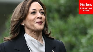 Professor Whos Predicted 9 Out Of 10 Past Elections Asked Does Harris Have A Chance At Winning [upl. by Naujik274]