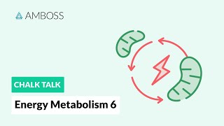 Energy Metabolism  Part 6 The Citric Acid Cycle with molecular structures [upl. by Yren]