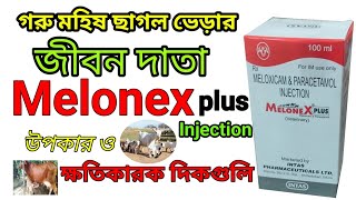 Melonex Plus Injection uses benifits Sideeffects in Bangla  Meloxicam Paracetamol Inj Veterinary [upl. by Poler]