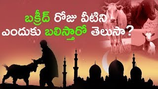 బక్రీద్ రోజు వీటిని ఎందుకు బలిస్తారో తెలుసా  Bakrid History And Importance  Eid Ul Adha 2024 [upl. by Nnairam350]